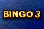 Bingo 3