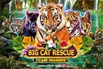 Big Cat Rescue Megaways